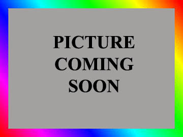 Chestnut Frame Sabino Overo Thoroughbred