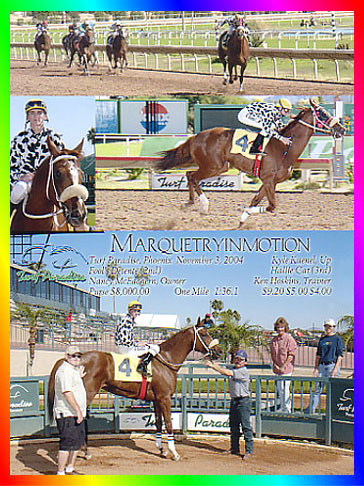 Chestnut Thoroughbred Mare